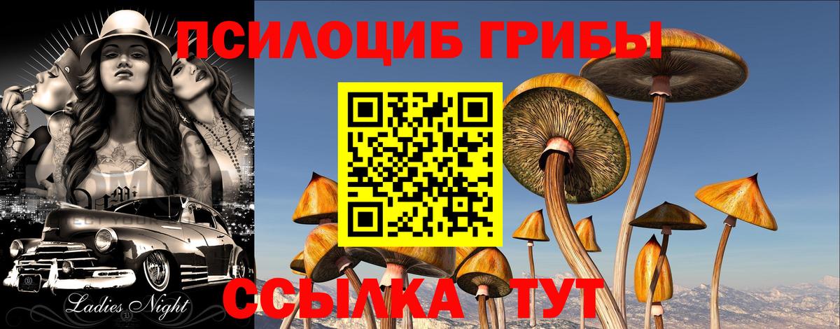 Сатка  Галлюциногенные грибы прущие грибы  Вход с VPN  Галлюциногенные грибы ЛСД 