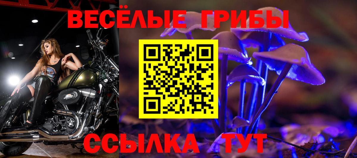 Псилоцибиновые грибы GOLDEN TEACHER Сатка